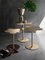 Large Flowers Coffee Table by S. Giovannoni for Ghidini 1961, Image 3