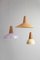 White Ash Eikon Shell Pendant Lamp from Schneid Studio 3