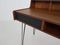 Hairpin Desk by Cees Braakman for Pastoe, 1950s 7