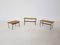 Tables Gigognes Twello par Martin Visser pour ’t Spectrum, 1950s, Set de 3 4