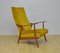 Mid-Century Armchair, 1960s, Image 1