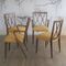 Poly Z Dining Chairs by A.A. Patijn for Zijlstra Joure, 1950s, Set of 4, Image 6