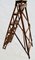 Antique Patent Lattistep Ladder from Hatherley Jones 4