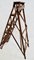 Antique Patent Lattistep Ladder from Hatherley Jones 3