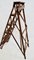 Antique Patent Lattistep Ladder from Hatherley Jones, Image 3