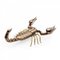 Scorpion Skulptur von Mambo Unlimited Ideas 1