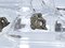 Hängelampe aus Muranoglas in Glocken-Optik von Barovier & Toso, 1950er 6