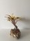 Decorative Brass Palm Tree by Daniel D'Haeseleer, 1970s 9