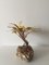 Decorative Brass Palm Tree by Daniel D'Haeseleer, 1970s, Image 9