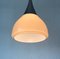 Glass & Metal Pendant Lamp from Limburg, 1970s 4