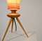 French Table Lamp, 1950s 6