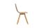 505RMD4 Ics Chair by Fiorenzo Dorigo for Capdell 3