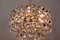 Viennese Crystal Chandelier, 1960s 3