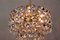Viennese Crystal Chandelier, 1960s, Image 3