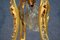 Vergoldeter Kronleuchter aus Bronze & Kristallglas, 19. Jh. 2
