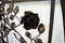 French Art Deco Wrought Iron Coat-Rack with Roses, 1930s 9