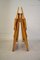 Vintage Folding Chairs by Ico Parisi for Fratelli Reguitti, Set of 2 8