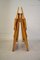 Vintage Folding Chairs by Ico Parisi for Fratelli Reguitti, Set of 2, Image 8