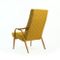 Grand Fauteuil Mid-Century de TON, 1960s 7