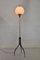 Floor Lamp from Lumi, 1950s 9