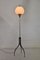 Lámpara de pie de Lumi, años 50, Imagen 9