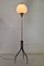 Floor Lamp from Lumi, 1950s 1