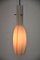 Lámparas colgantes vintage de Alessandro Pianon para Vistosi, años 50. Juego de 22, Imagen 5