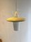 Small Pendant Lamp, 1950s 4