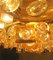 Large Mid-Century Brutalist Gilt Brass & Crystal Chandelier from Palwa, 1960s, Image 2