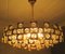 Large Mid-Century Brutalist Gilt Brass & Crystal Chandelier from Palwa, 1960s, Image 14