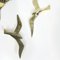 Mid-Century Bronze Birds from Superbrass, Set of 3 3