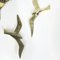 Uccelli Mid-Century in bronzo di Superbrass, set di 3, Immagine 3