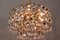 Lámpara de araña de cristal de Bakalowits & Sons, años 60, Imagen 8