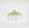 Mid-Century Cocoon Hanging Lamp, 1960s 4