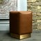 Ultra-Leather & Brass Ermes Pouf by Casa Botelho 5