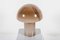 Large Cirrus Glass Mushroom Table Lamp from Peill & Putzler, 1960s 6