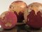 Wood Globes from Roche Bobois, 2007, Set of 3 3