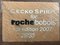 Globos terráqueos de madera de Roche Bobois, 2007. Juego de 3, Imagen 9