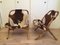 Vintage Cowhide & Bamboo Easy Chairs, 1970s, Set of 2 11