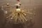 Lampadario Half Sputnik con farfalle in vetro di Murano, anni '80, Immagine 6