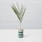LIO Single Stem Vase by Laura-Jane Atkinson, Image 2