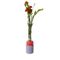 LIO Single Stem Vase from Laura-Jane Atkinson 1