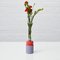 LIO Single Stem Vase from Laura-Jane Atkinson 2