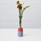 Vase Tige Simple LIO de Laura-Jane Atkinson 2