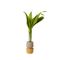 LIO Single Stem Vase from Laura-Jane Atkinson 1