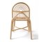SILLON Rattan Chair by Guillaume Delvigne for ORCHID EDITION 5