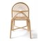 SILLON Rattan Chair by Guillaume Delvigne for ORCHID EDITION, Image 5