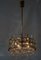 Mid-Century Chandelier from Bakalowits & Söhne, 1950s, Image 4