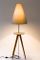 Laemple Floor Lamp with Table by Alex Valder, Image 3