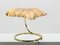 Large Brass Rhubarb Table Lamp by Tommaso Barbi for Carlo Giorgi, 1970s, Image 4